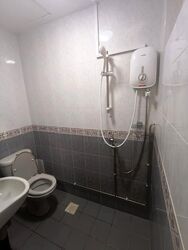 Normanton Park (D5), Terrace #622685861